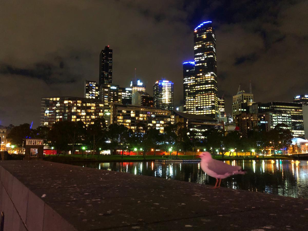 Appartement Melbourne River Views Extérieur photo